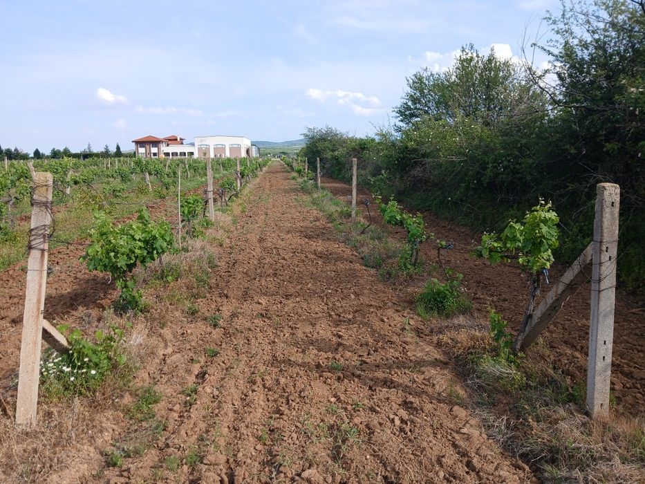 Продава се Земеделски имот в с. Карабунар, Област Пазарджик -  кв.м за 2 €/дка - Снимка #3