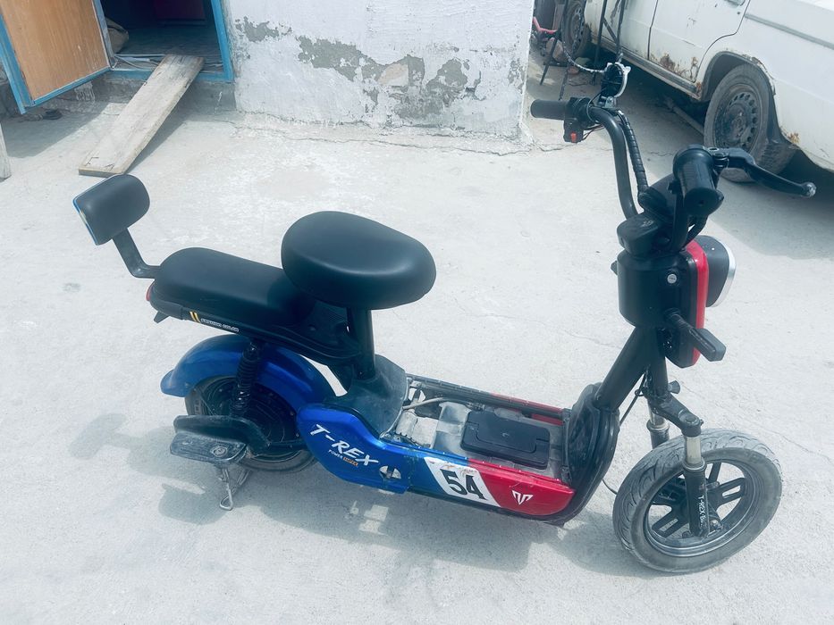 T rex bike