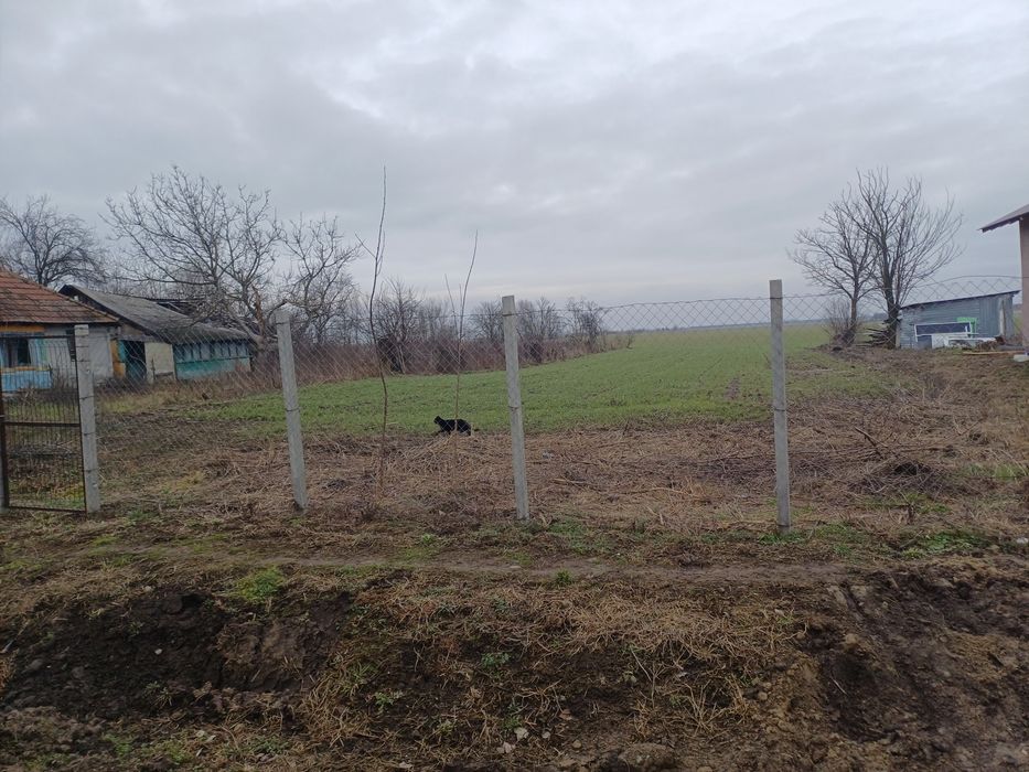 Vând teren intravilan și extravilan