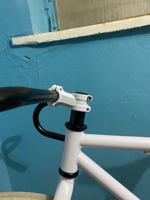 Singlespeed Axion Ghost