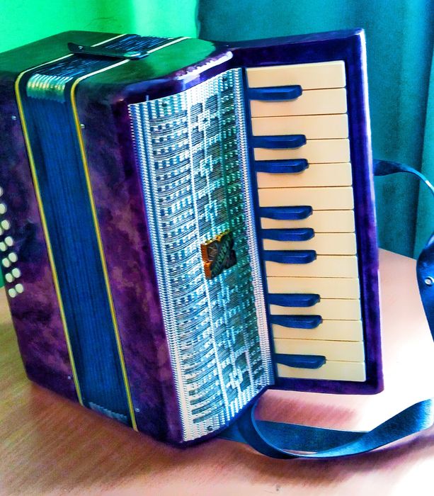 Аккордеон Малыш А-23 # 14-1