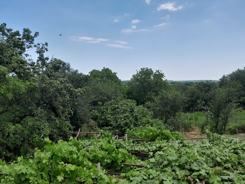 Продава се Къща в Варна, Възраждане 2 - 112 кв.м за 358 €/кв.м - Снимка #14