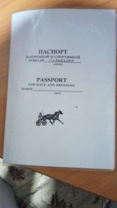 Продам американца