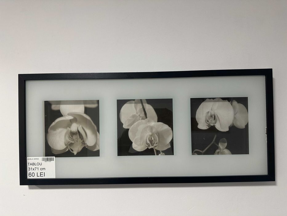 6 buc Rama Foto peisaje si flori; Tablou cu rama de lemn