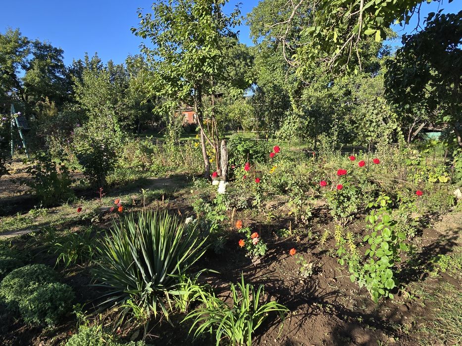 Дача 6 соток с двухэтажным домом 52кв.