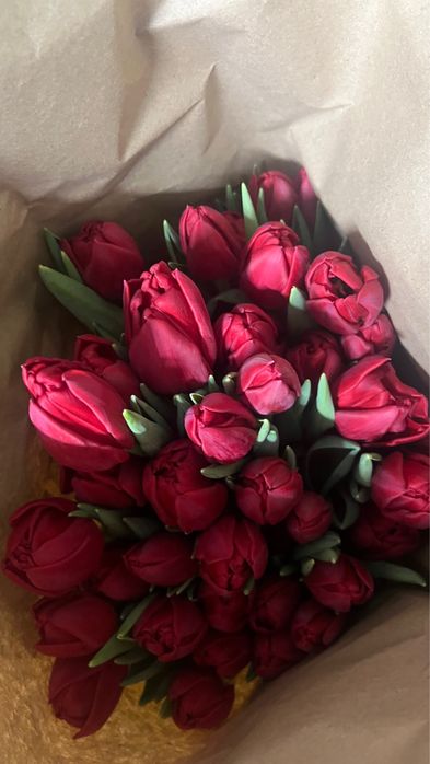 Тюльпаны 700 доставка десплатно