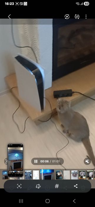 Сони Плестейшин 5