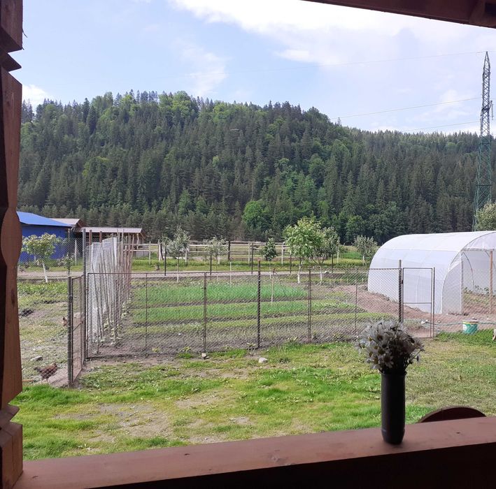 Vand casa Bucsoaia sau schimb