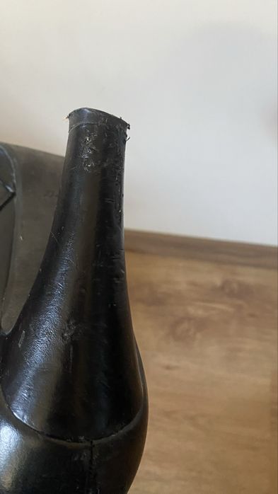 Cizme pana la glezna