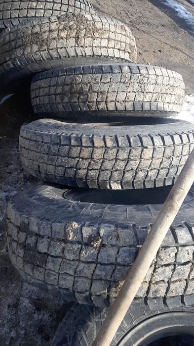 Продам Кама 310 .