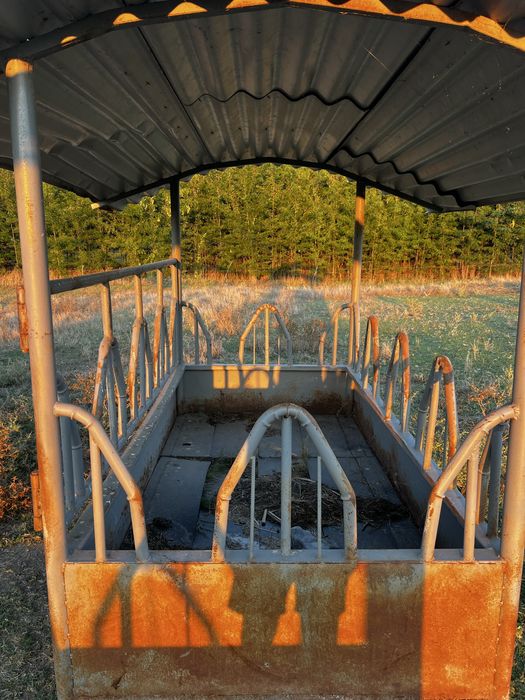 Iesle pentru vaci si cai