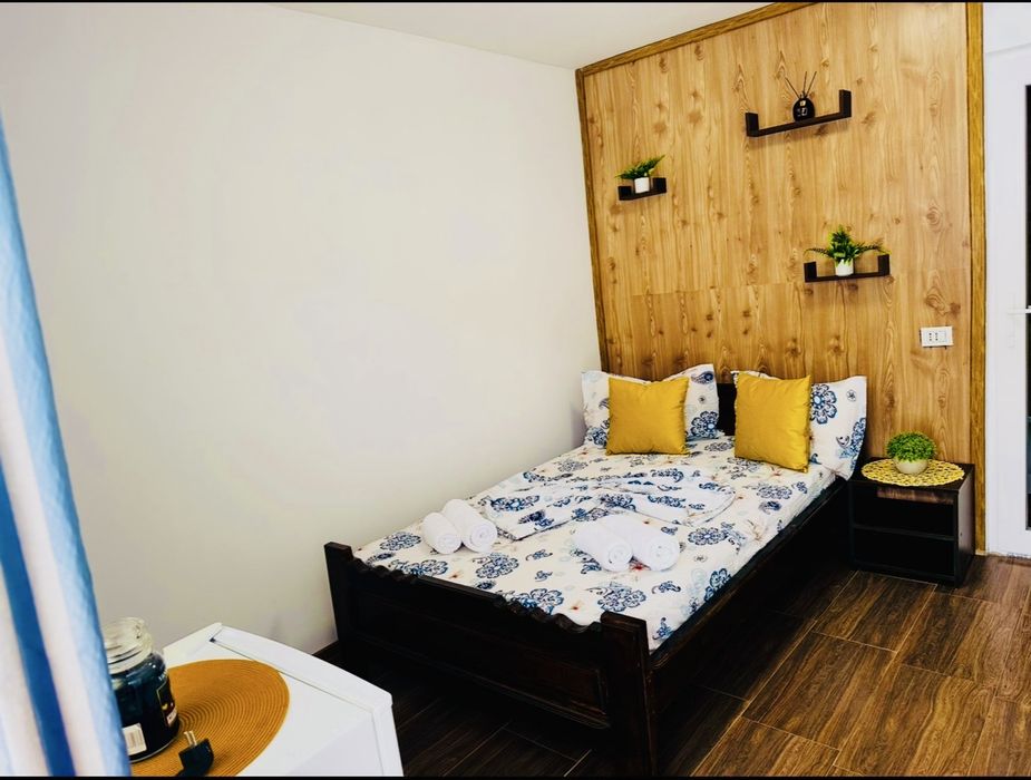 Vila David Costinesti