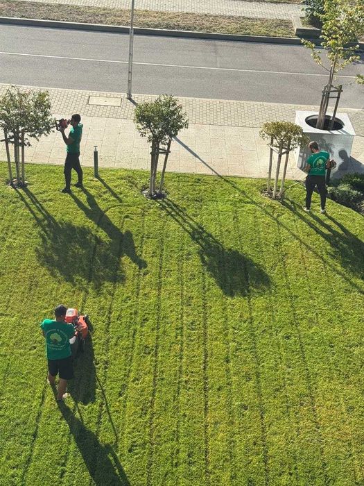 Озеленяване и поддръжка