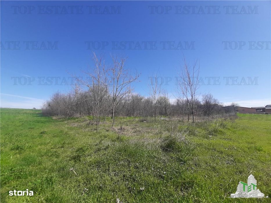 Teren 4000 mp + casa demolabila in BragadiruVarteju (Magurele)
