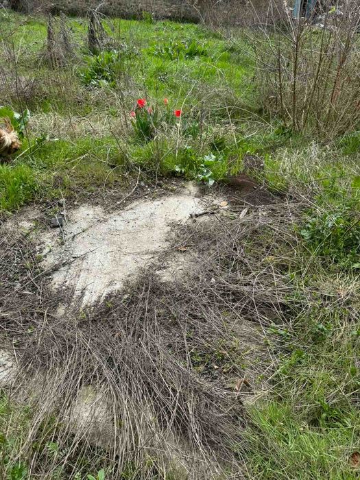 Продава се Къща в с. Шипочано, Област Кюстендил - 120 кв.м за 149 €/кв.м - Снимка #10