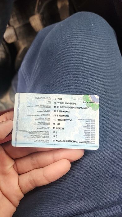 Orlando позиция 2