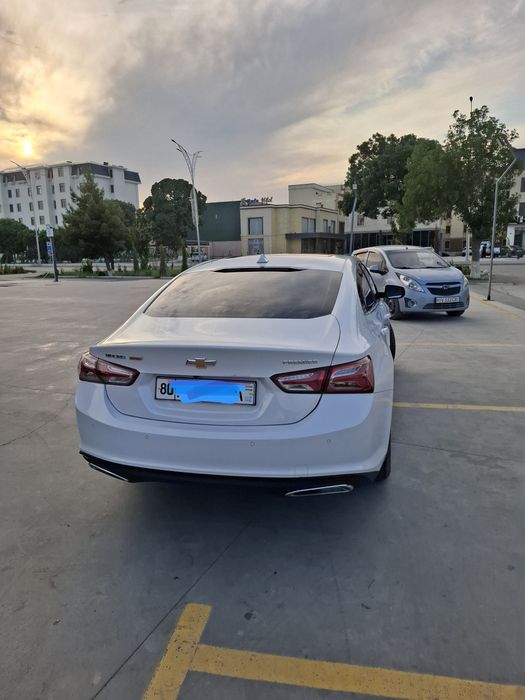 Malibu premier toza