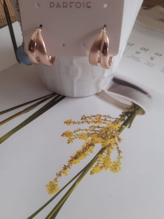 Обици.Нови аксесоари-Parfois,Sinsay DM и др.