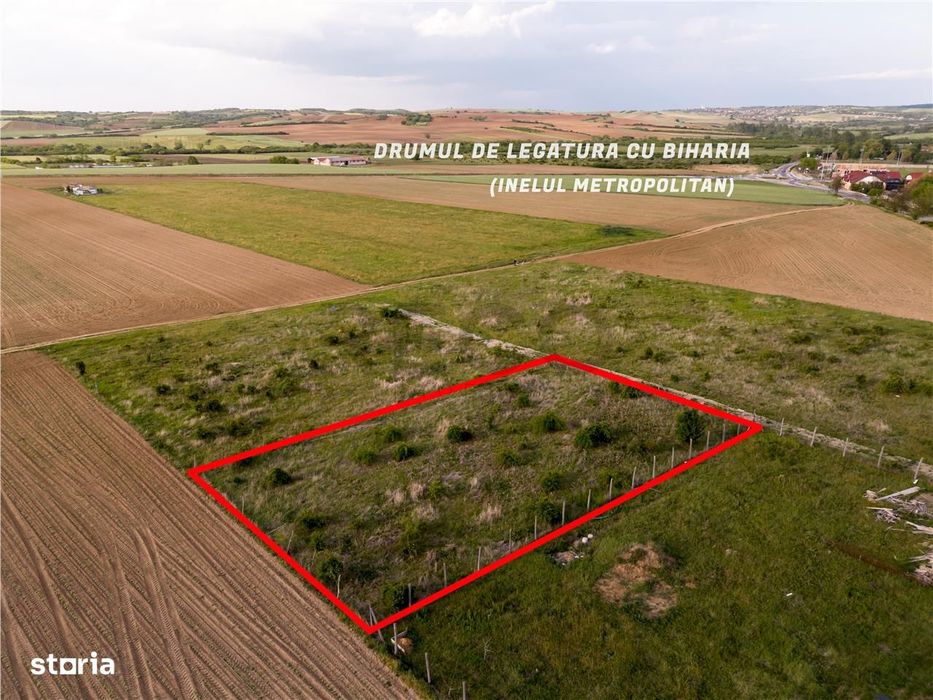 RECO Teren de vanzare Paleu 1025mp