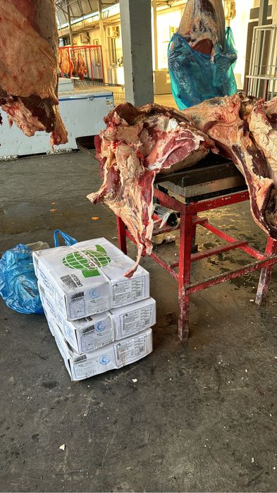 Конские кишки Аргентина