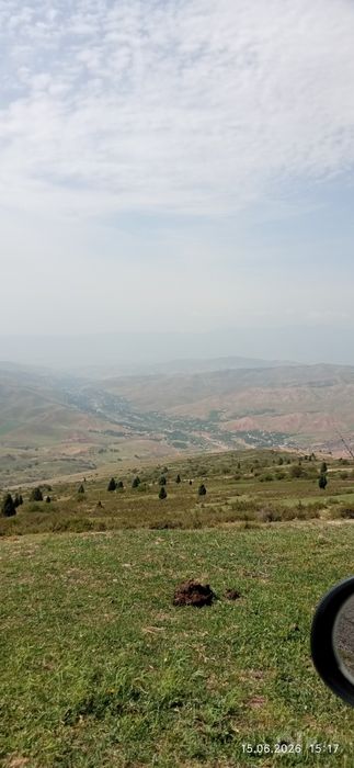 Лечебный горный мёд