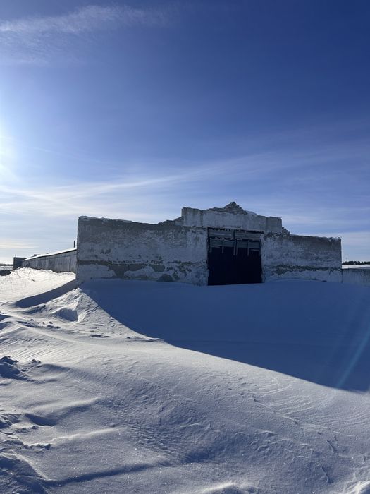 ПРОДАМ БАЗУ животноводство растеневодство