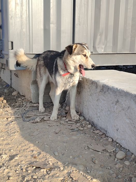 Мальчик, 1год,идеальный для, семьи с детьми