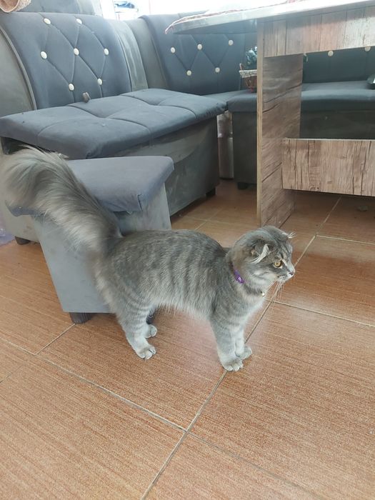 Продается срочно