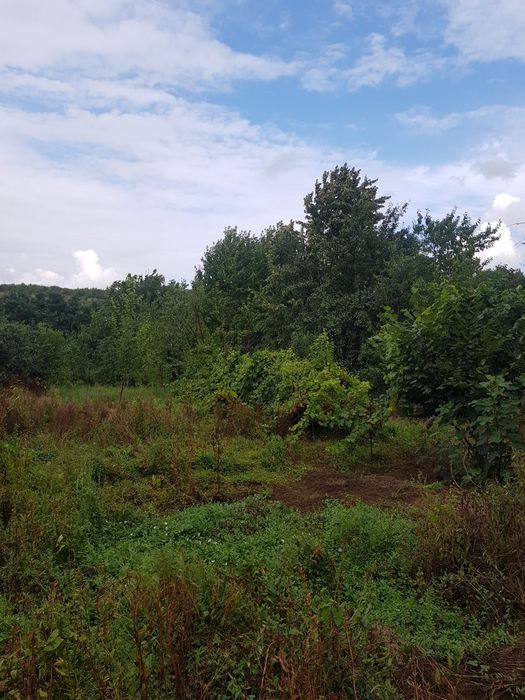 Vând 2500  de metri de teren intravilan în Iași