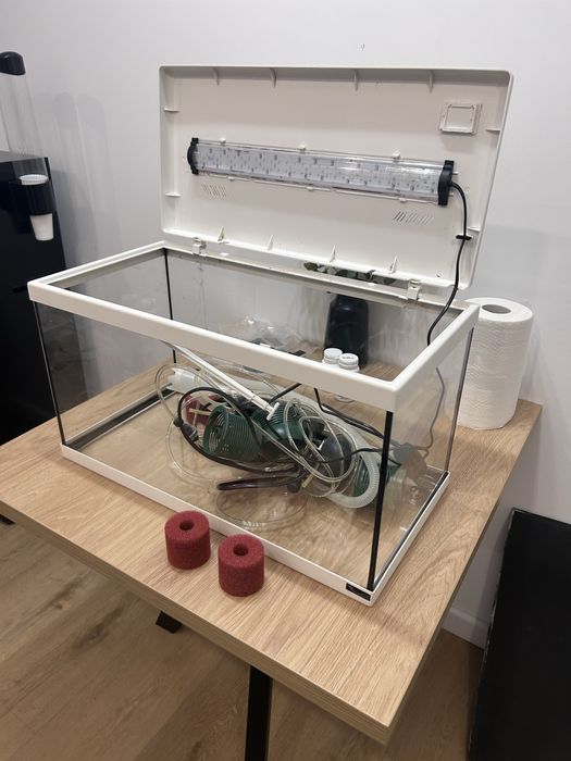 Acvariu  pentru pesti