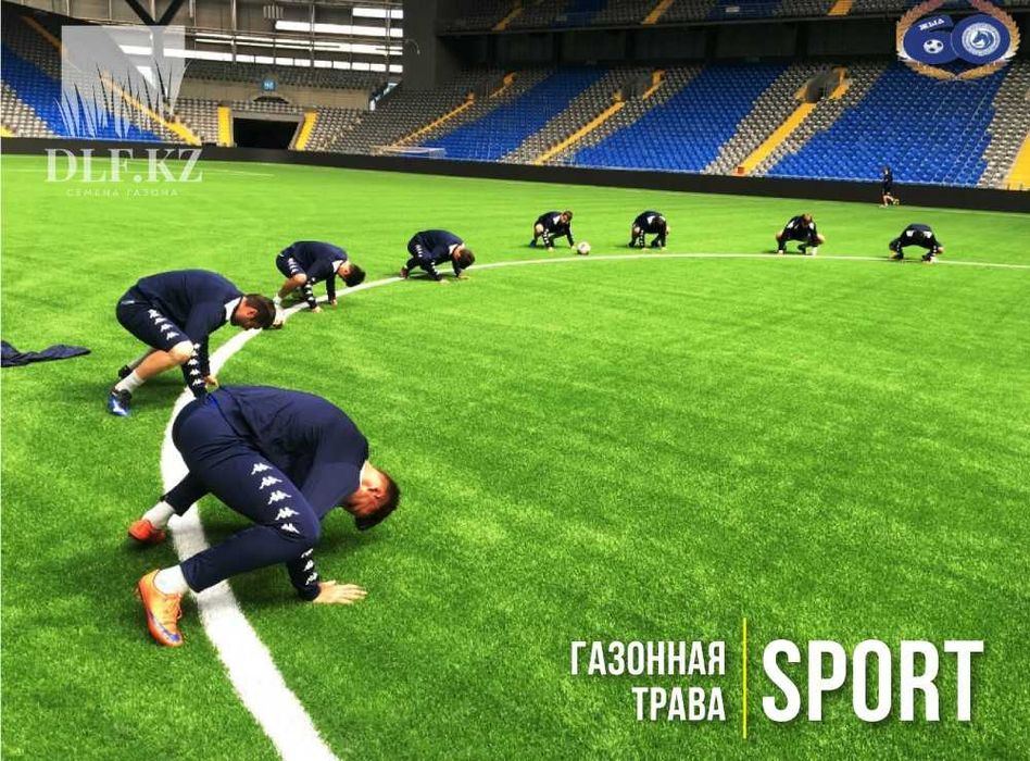 Газон Атырау семена в мешках