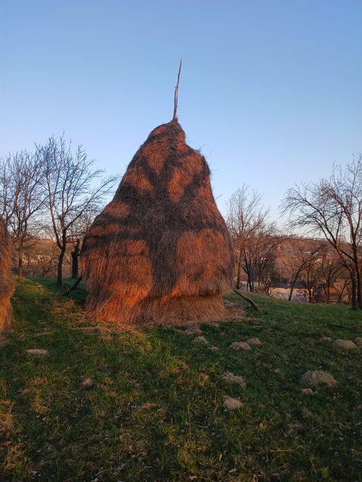 Vând  baloti de fân