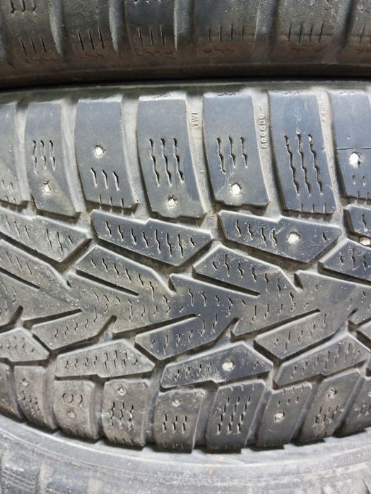 Авторезина нордман