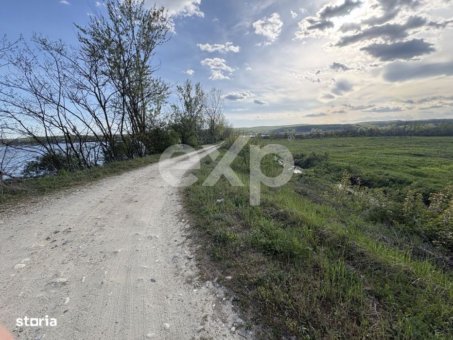 Teren Budeasa cu acces la lac