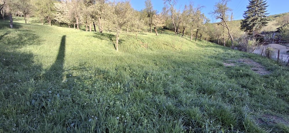 Livadă cu pomi fructiferi, teren intravilan la 50 km de Cluj-Napoca