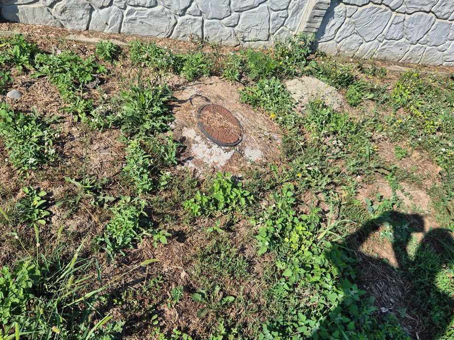 Vind Teren Stefanesti, comuna Ileana, Calarasi