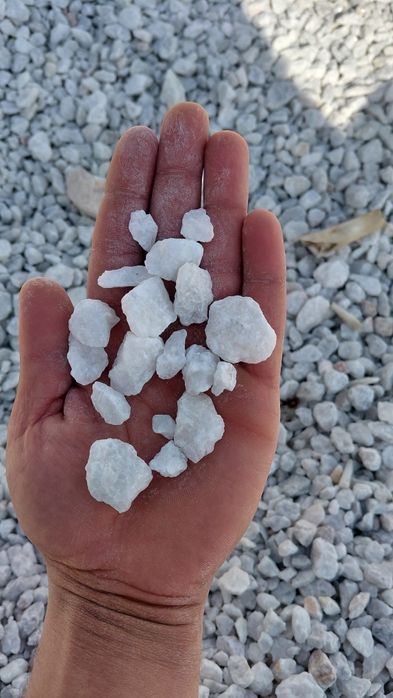 Мазайка мраморний