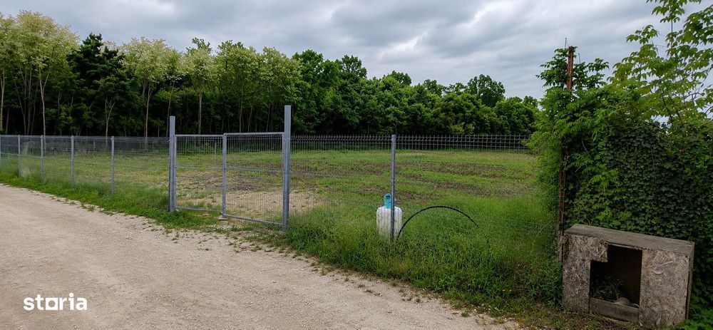 Teren intravilan 570 mp lângă pădure – Gulia / Tărtășești