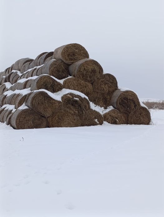 Сено, костер, солома люцерна, солома
