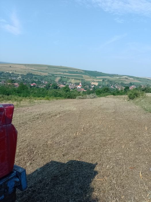 Curățare defrișare teren