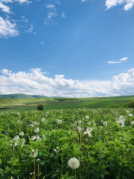 Teren agricol 12 ha parcelat | loturi 0,14-1 ha