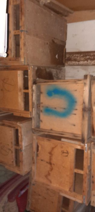 Пчела пакеты спареные