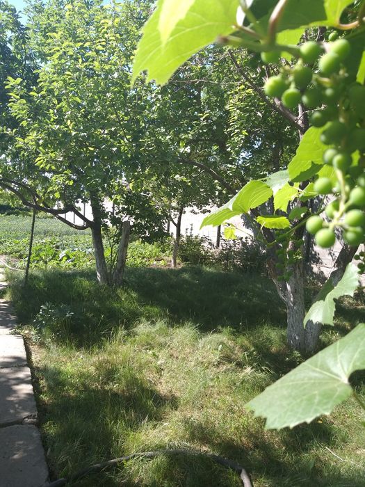 СРОЧНО !!! Продам дачу в хорошем районе.