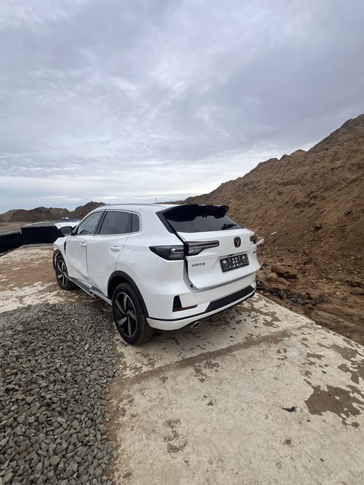 Чанган на разбор