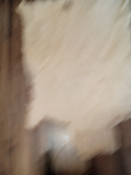 Кожа от северен елен,обработена добре