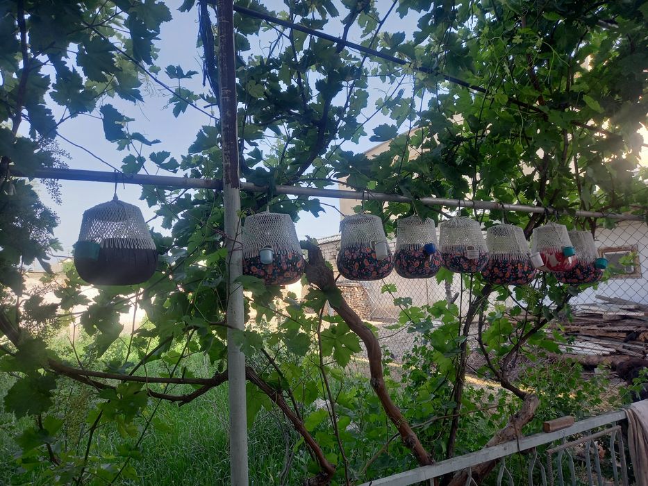 Kadidan yasalgan bedana qafaslari sotiladi