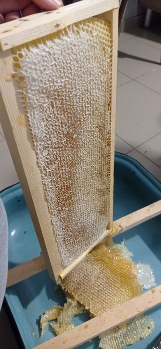 Натурален пчелен мед