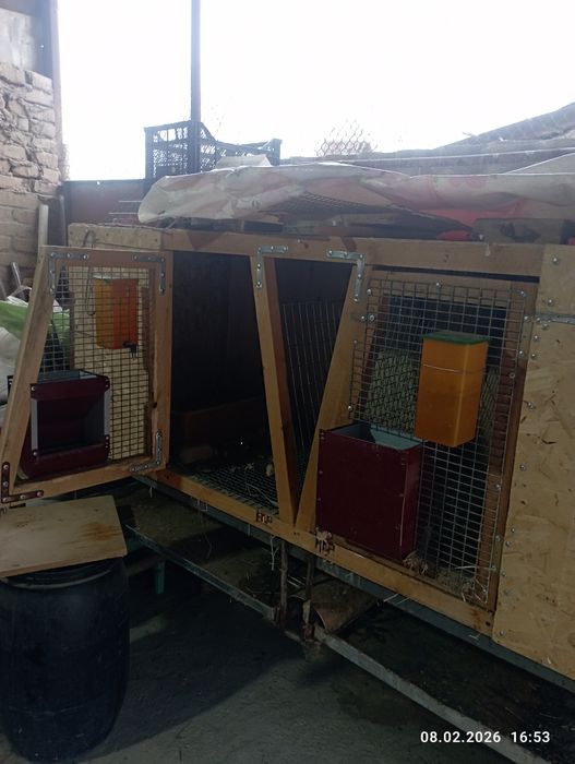 Клетка для кроликов  маточник