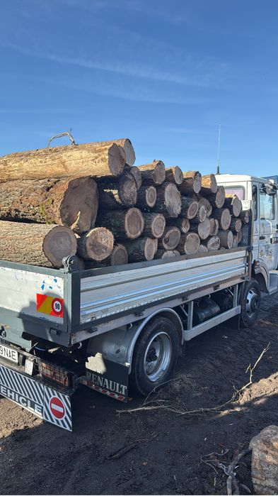 Lemne de foc esenta tare