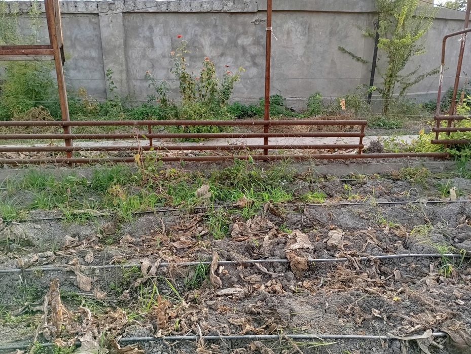 Teplitsa sotiladi rossiyskiy ugolnidan